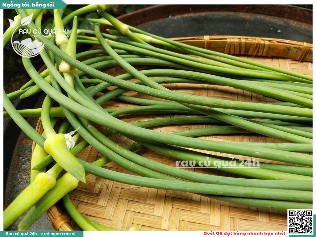 Ngồng tỏi, bông tỏi 500g