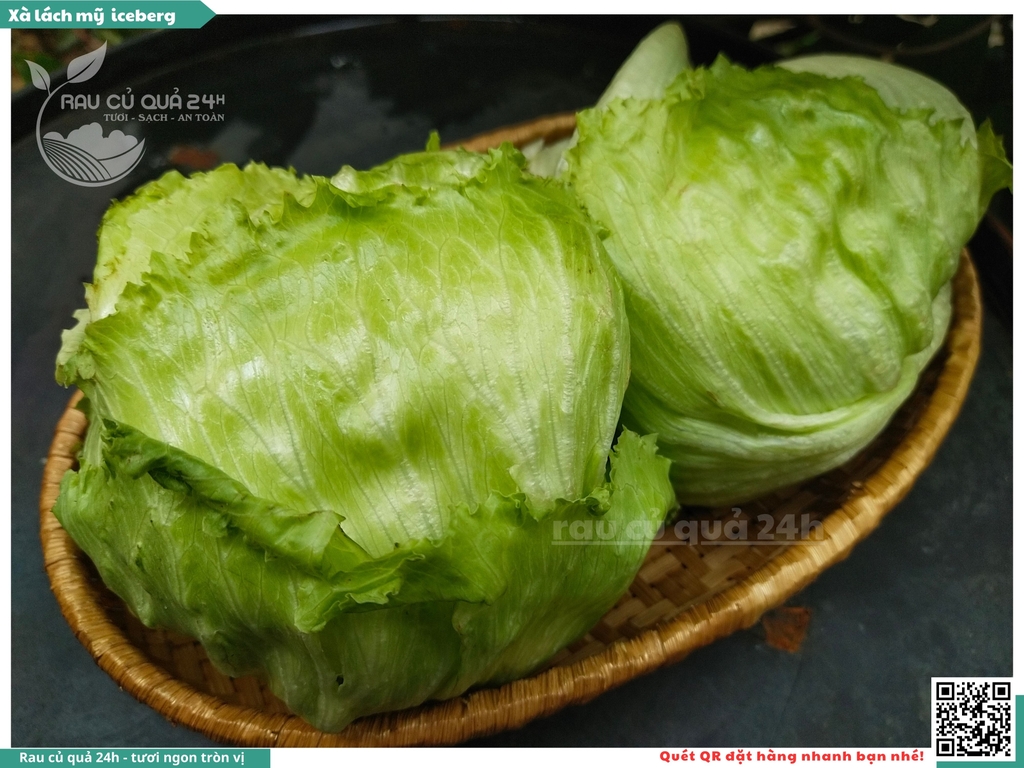 Xà lách Mỹ Iceberg 1 cây khoảng 250 - 400g