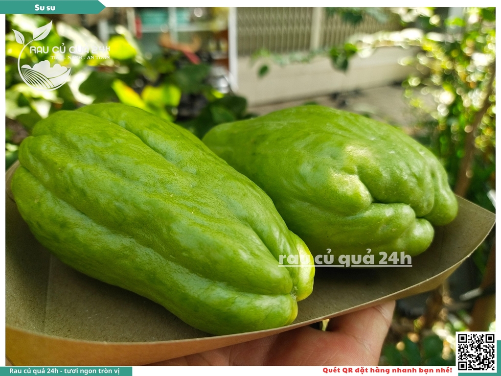 Quả Su su - 2 quả