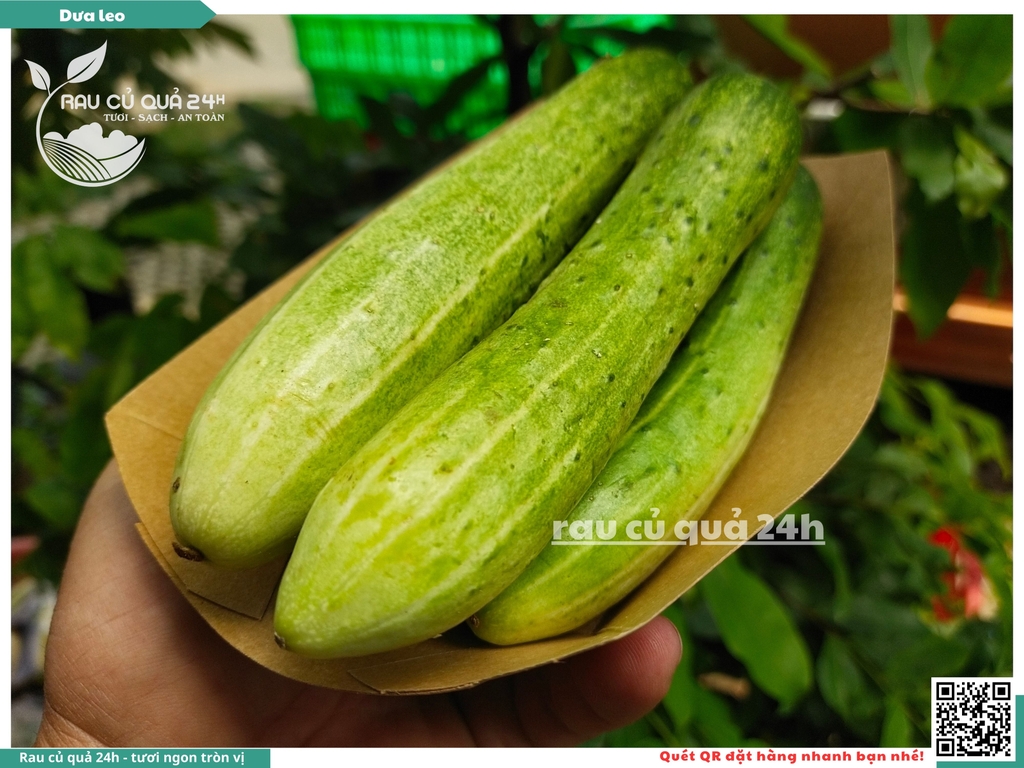 Quả Dưa leo khoảng - 400g