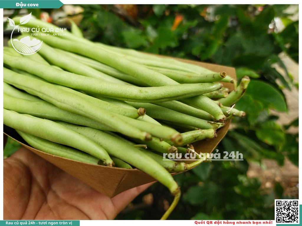 Quả Đậu cô ve - 400g