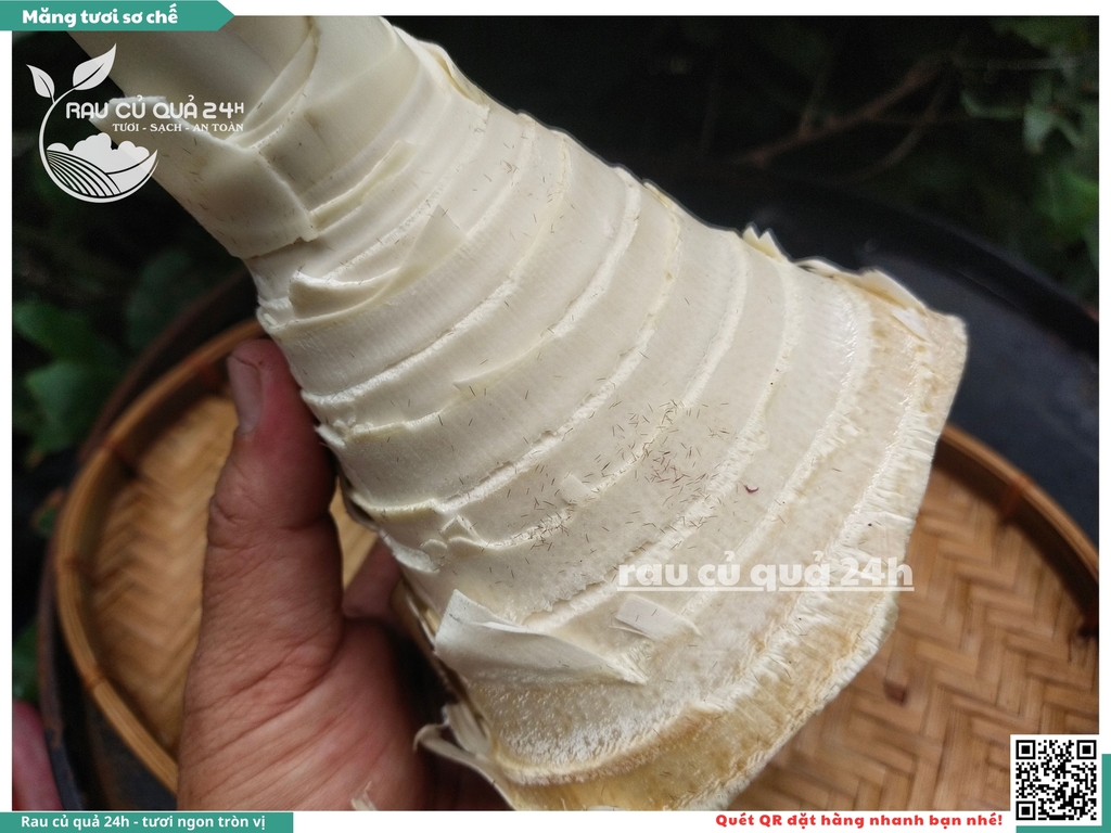 Măng tươi sơ chế - 1 cây