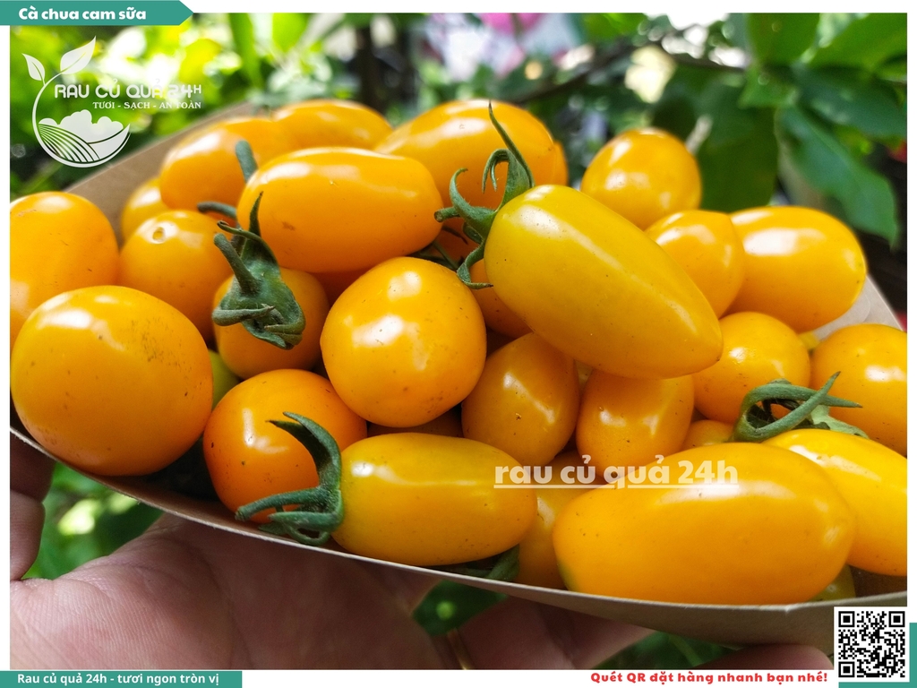 Cà chua cherry cam sữa - 500g