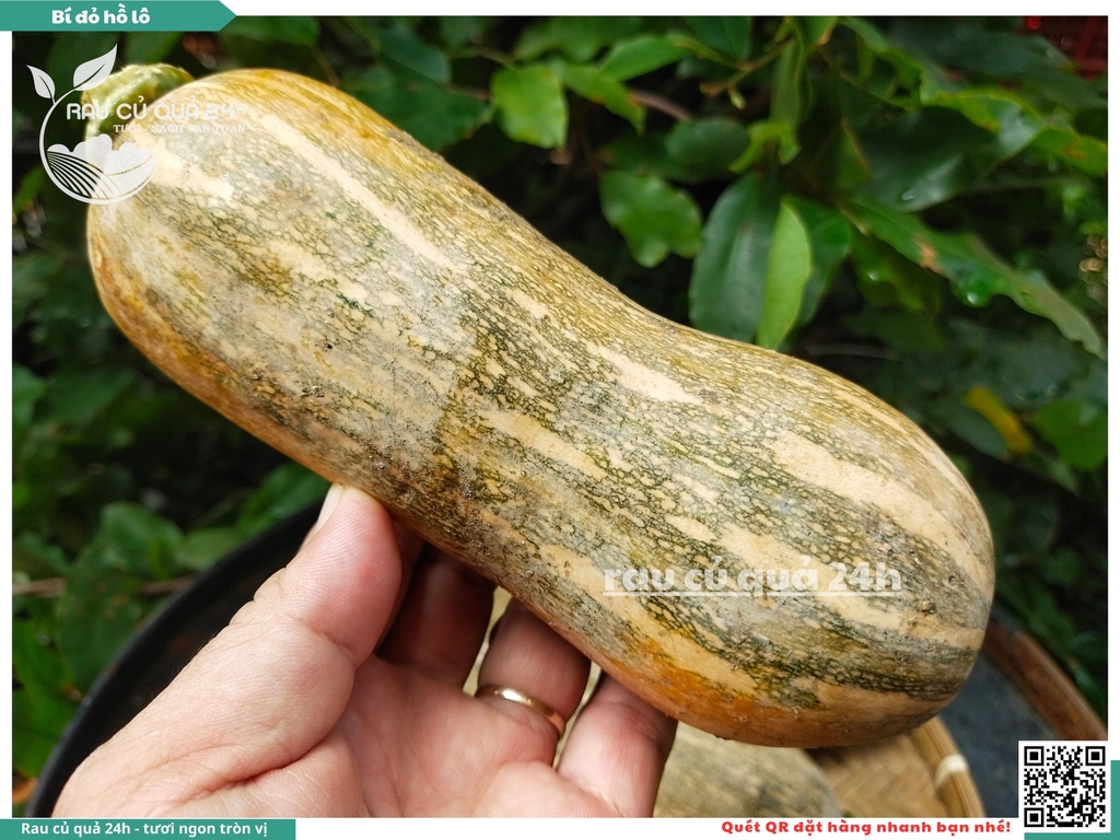 Bí đỏ Hồ Lô 1 quả khoảng 700g