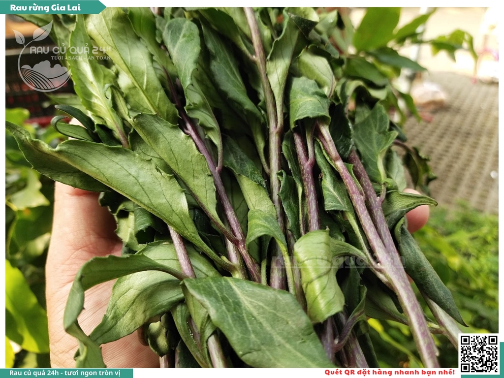 Rau rừng Gia Lai (Bầu đất , rau lủi) khoảng 500g