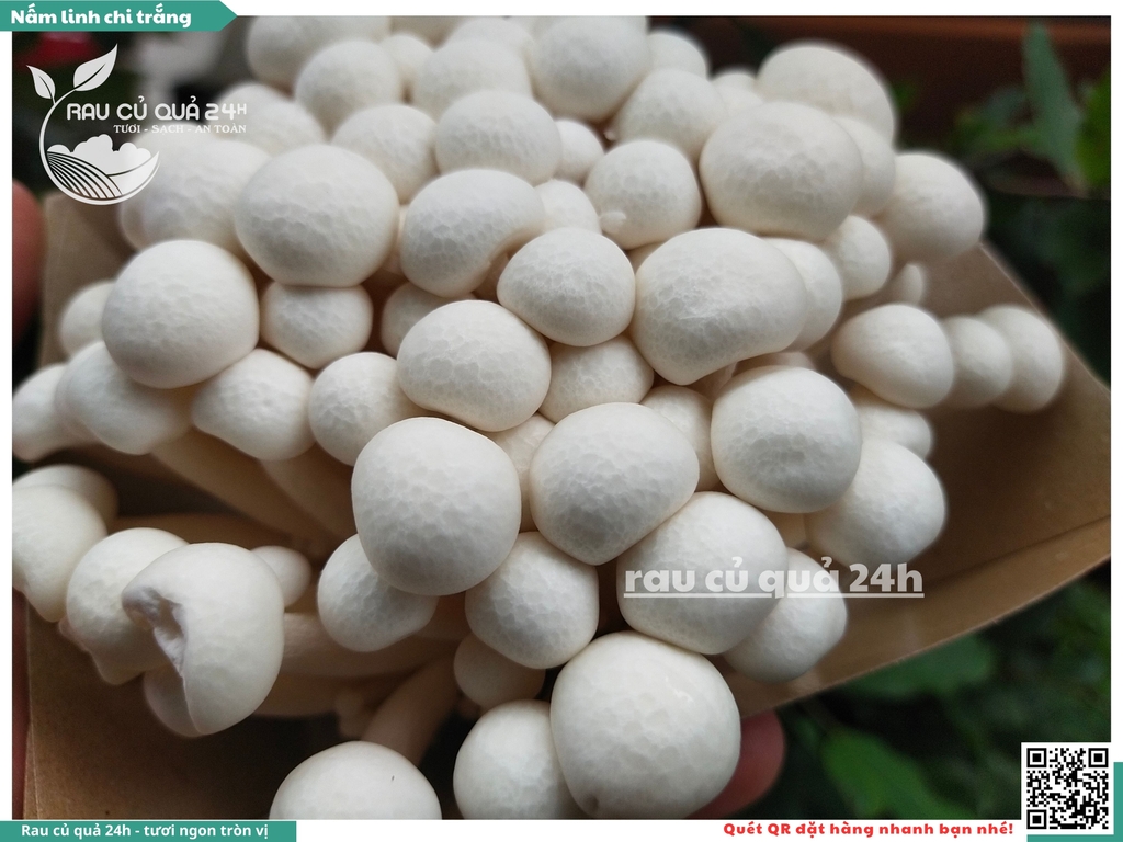 Nấm linh chi trắng - 175g