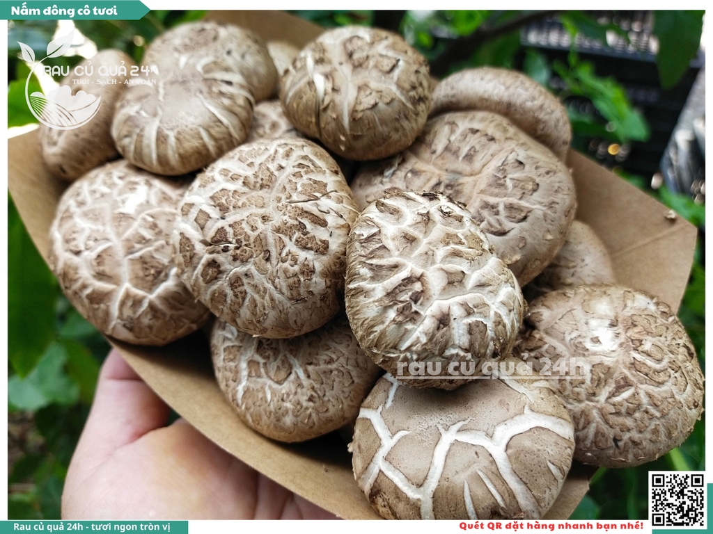 Nấm đông cô tươi khoảng 175g