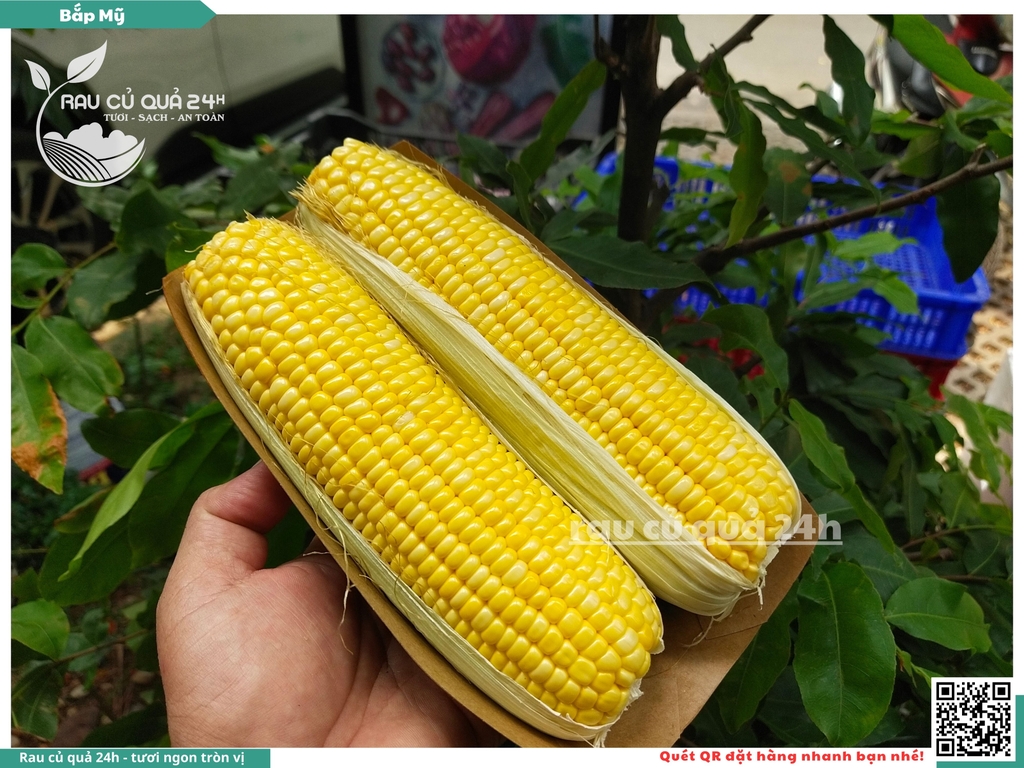 Bắp mỹ (một cặp)