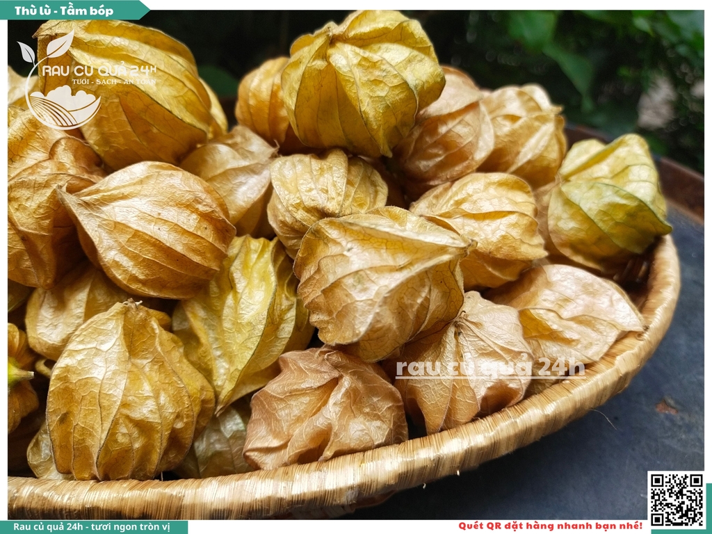 Thù lù - Tầm bóp Nam mỹ 300g