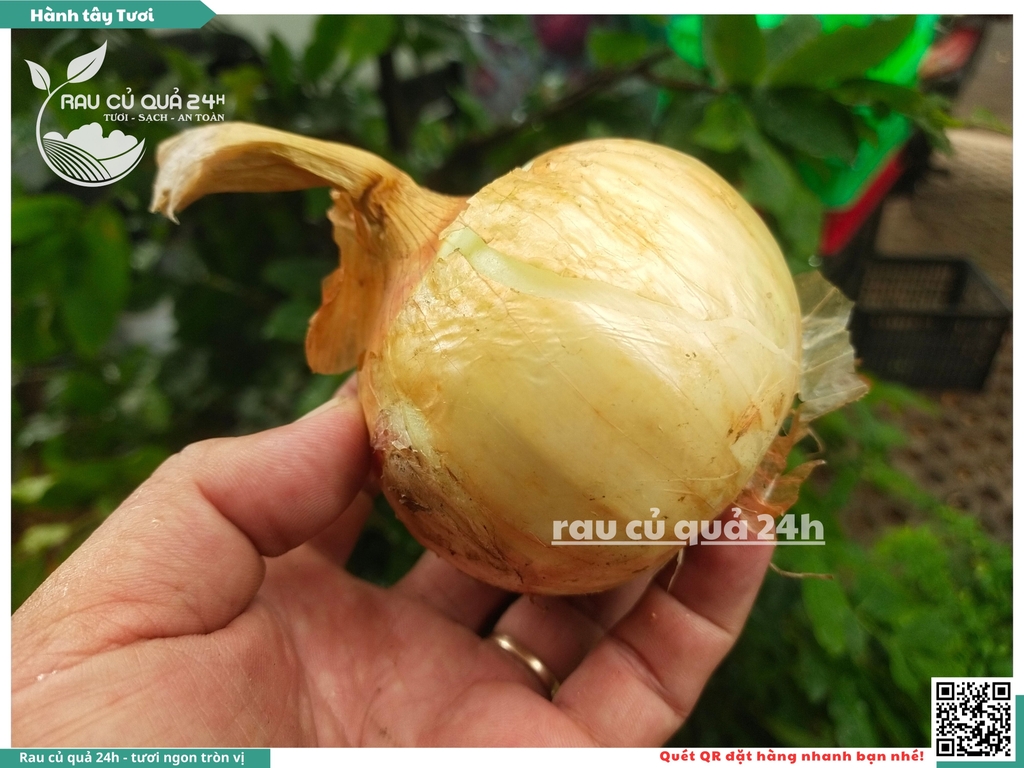 Củ Hành tây tươi Đà Lạt 300g