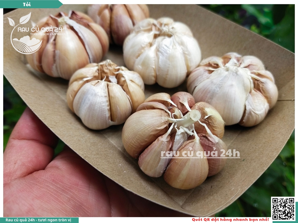 Củ Tỏi tép lớn khoảng 90g