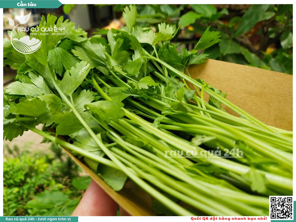 Rau nêm - Cần tàu 80g