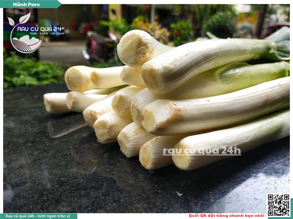 Rau nêm Hành Paro 2 cây khoảng 450g