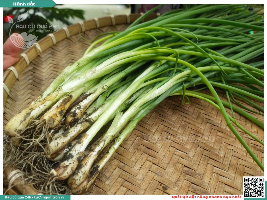 Rau nêm Hành Đất 500g