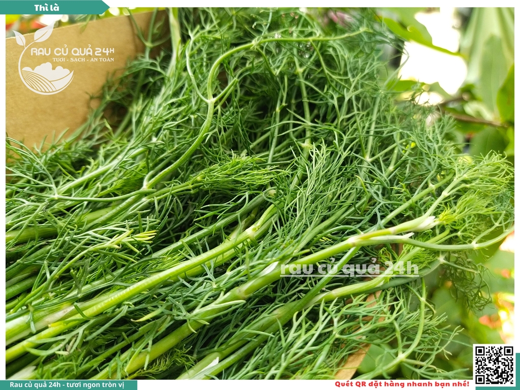 Rau nêm Rau Thì là 65g