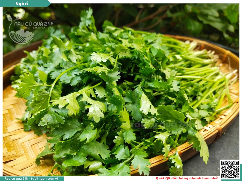 Rau nêm Ngò rí Đà Lạt 65g