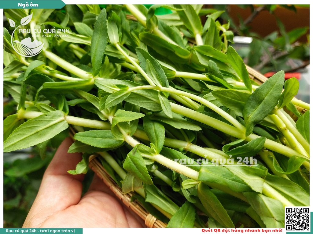 Rau nêm Ngò ôm 65g