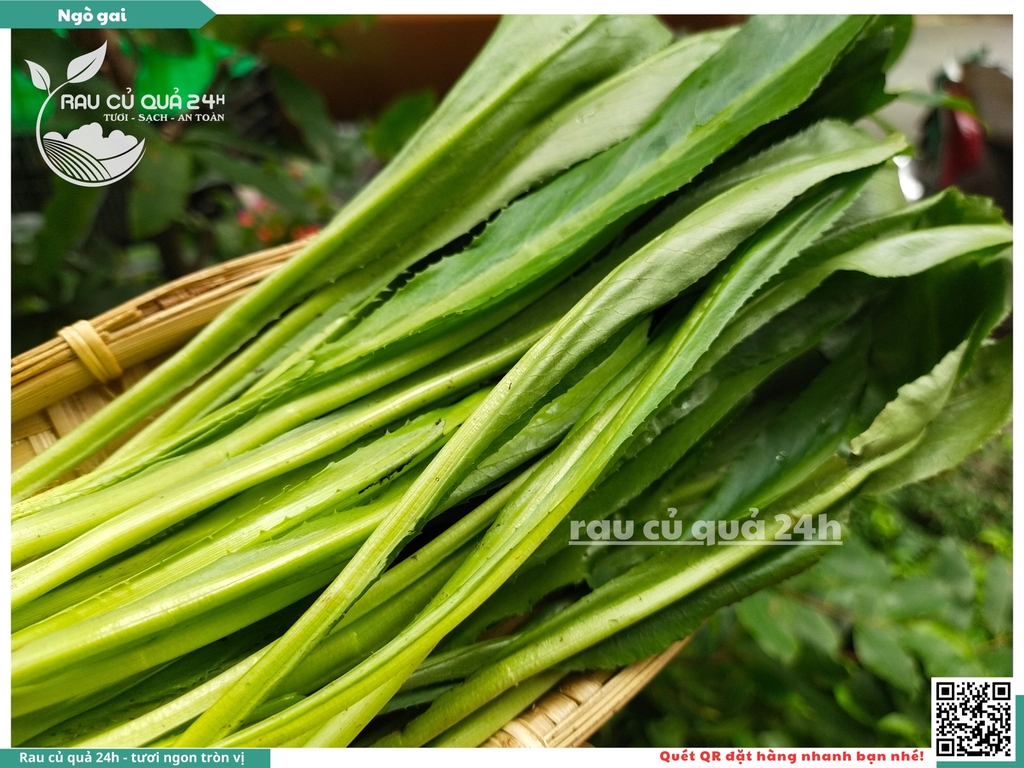 Rau nêm Ngò gai 65g