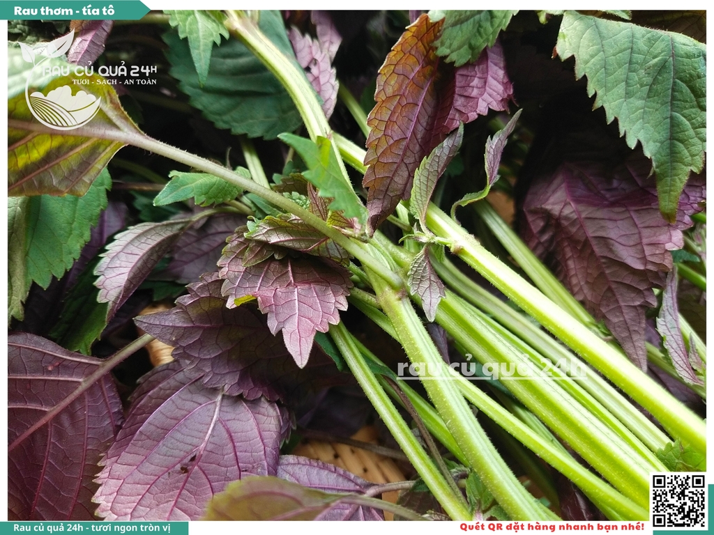 Rau thơm -  Tía tô 65g