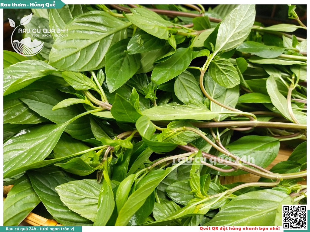 Rau thơm - Húng quế 65g