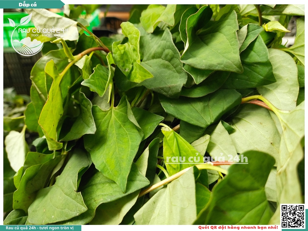 Rau thơm - dấp cá (Diếp cá) 65g