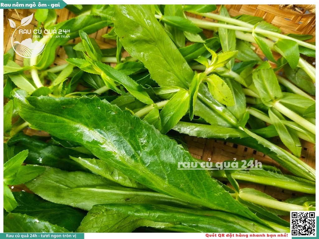 Rau Nêm Ngò ôm - Ngò gai khoảng 100g
