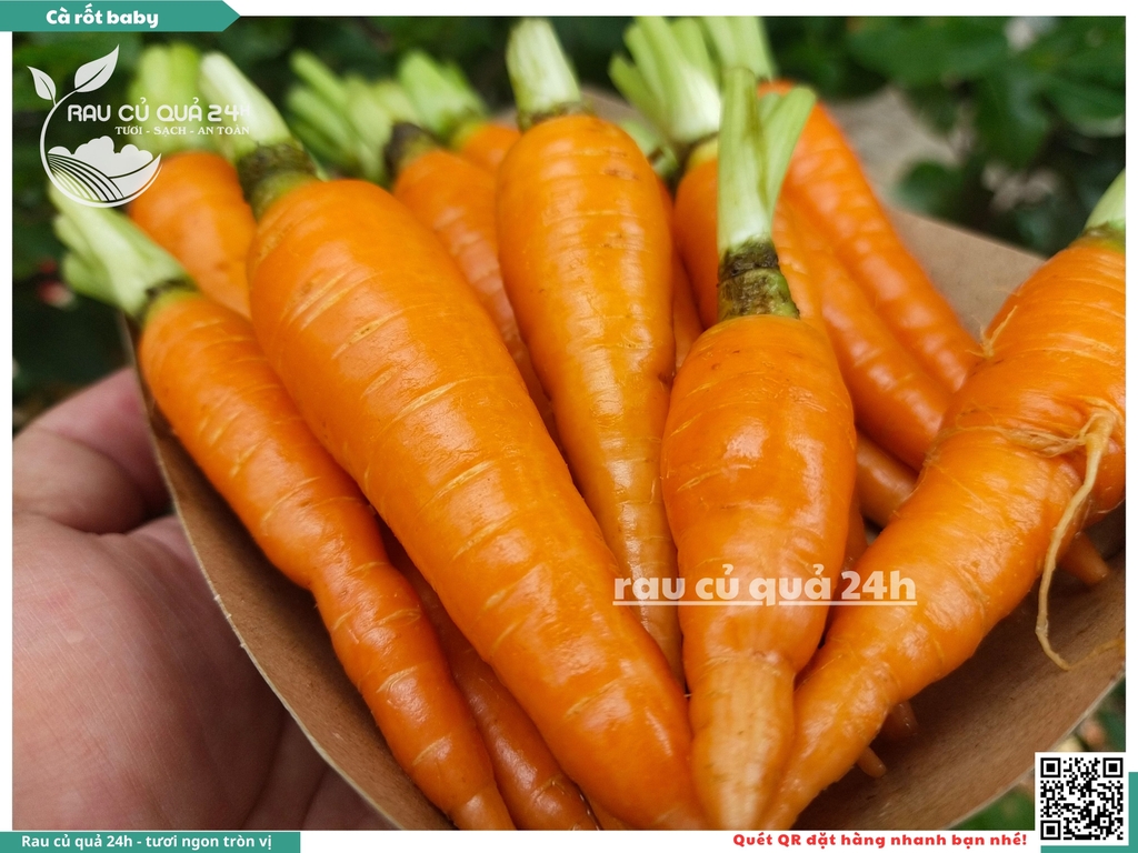 Cà rốt baby khoảng 1kg