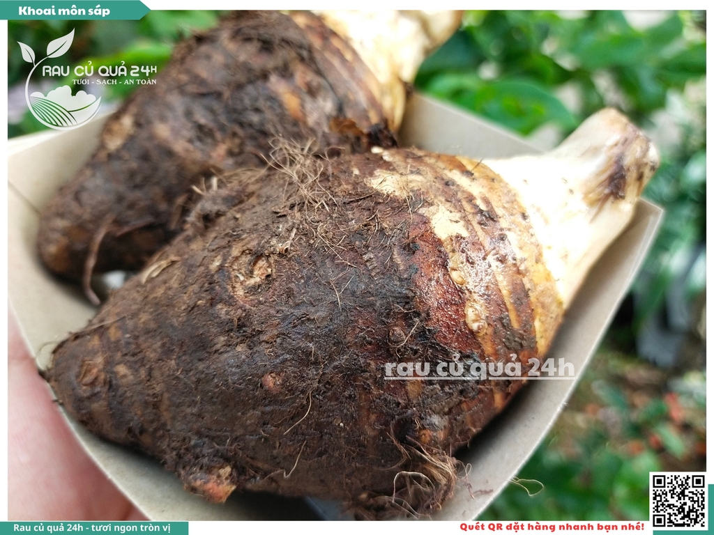 Khoai môn sáp Đà Lạt