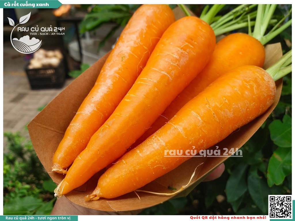 Cà rốt cuống xanh khoảng 1kg