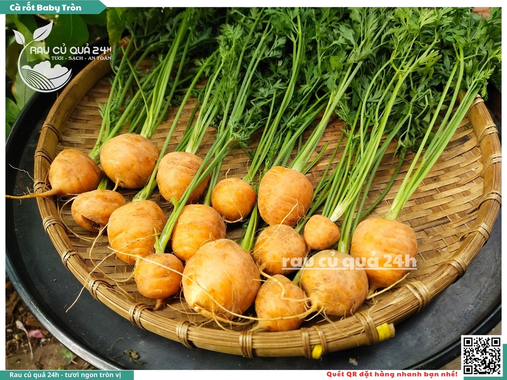 Cà rốt baby tròn