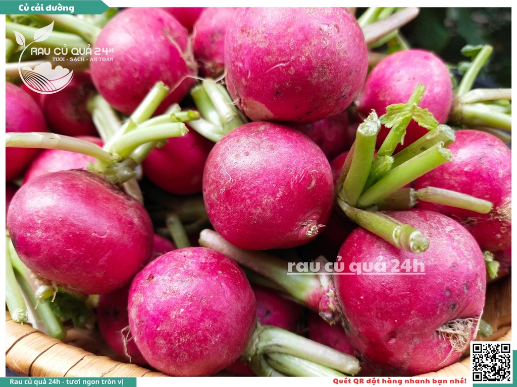 Củ cải đường