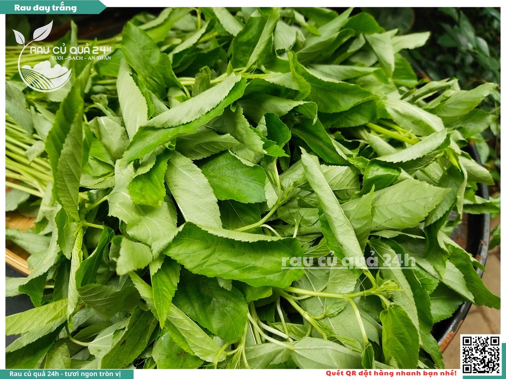 Rau đay trắng khoảng 300g