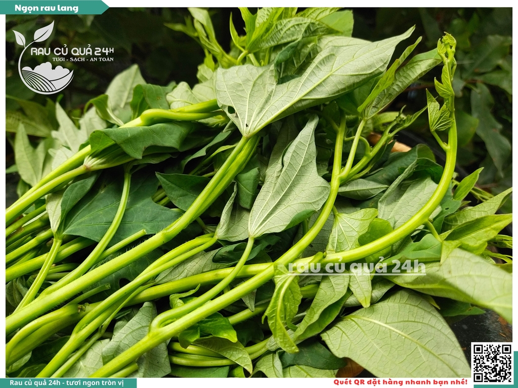 Ngọn rau lang - 400g