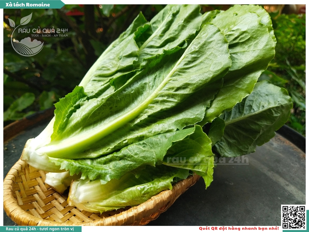 Xà lách Romaine - 250g