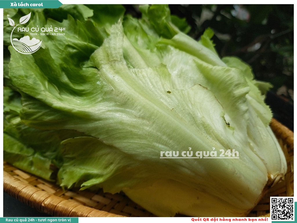 Xà lách Carol - Khoảng 300g