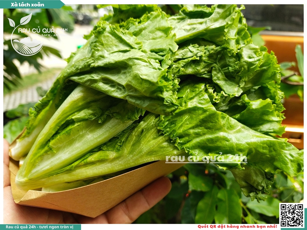 Xà lách Gai - 250g