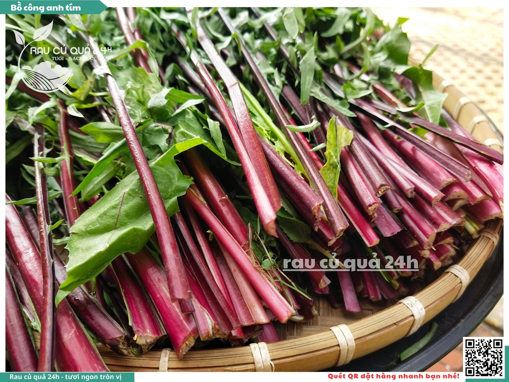 Rau Bồ Công Anh Tím khoảng 250g