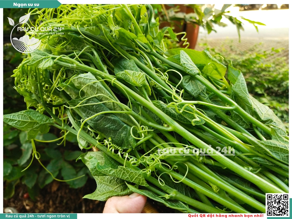 Ngọn su su khoảng 500g