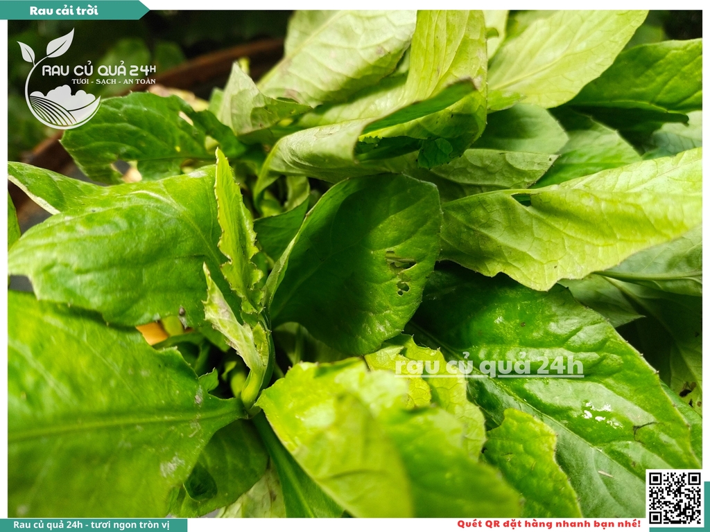 Rau cải trời khoảng 300g