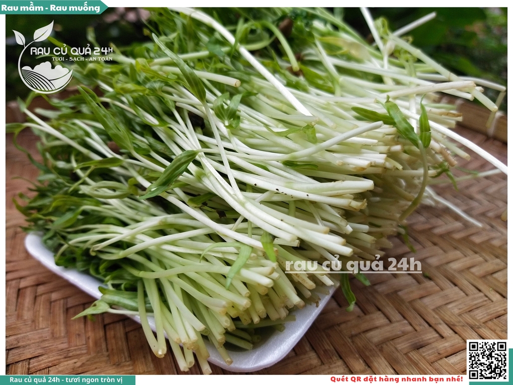 Mầm rau muống hạt khoảng 250g