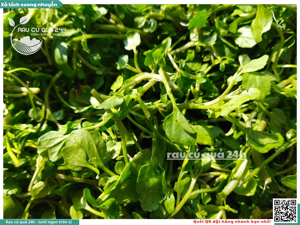 Rau xà lách xoong nhỏ (xoong nhuyễn) khoảng 250g