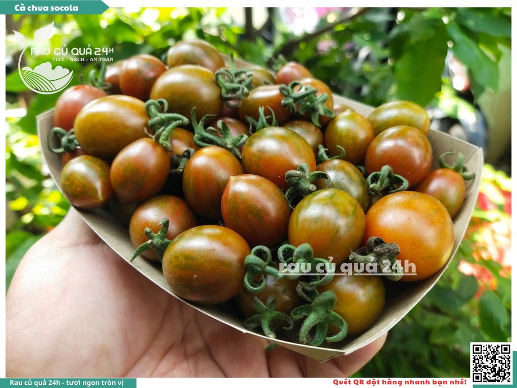 Cà chua cherry socola 250g