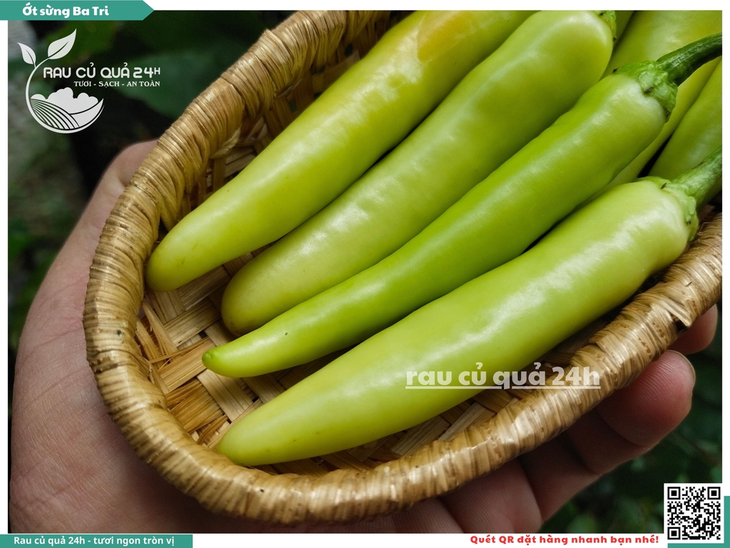 Ớt sừng Ba tri 45g