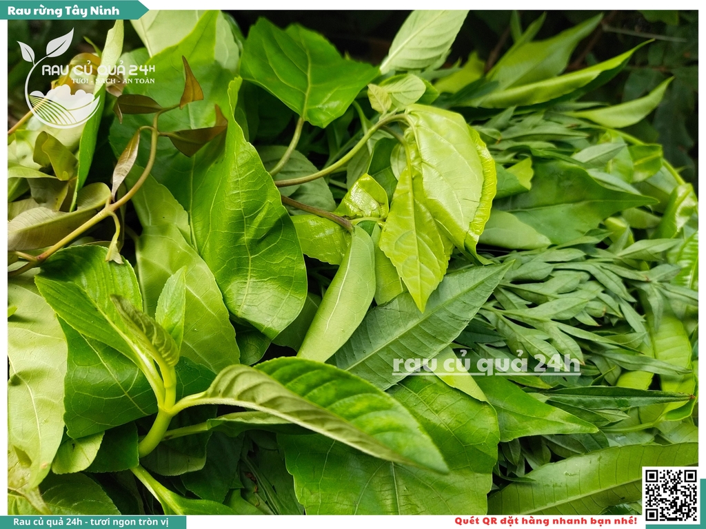 Rau rừng Tây Ninh khoảng 250g