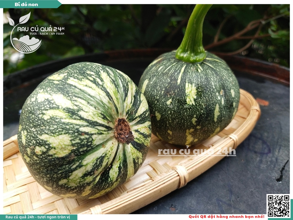 Quả Bí đỏ non