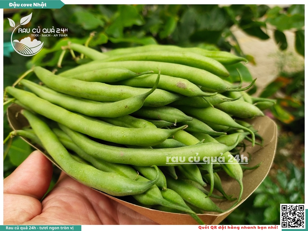 Quả Đậu Cove Nhật - 400g