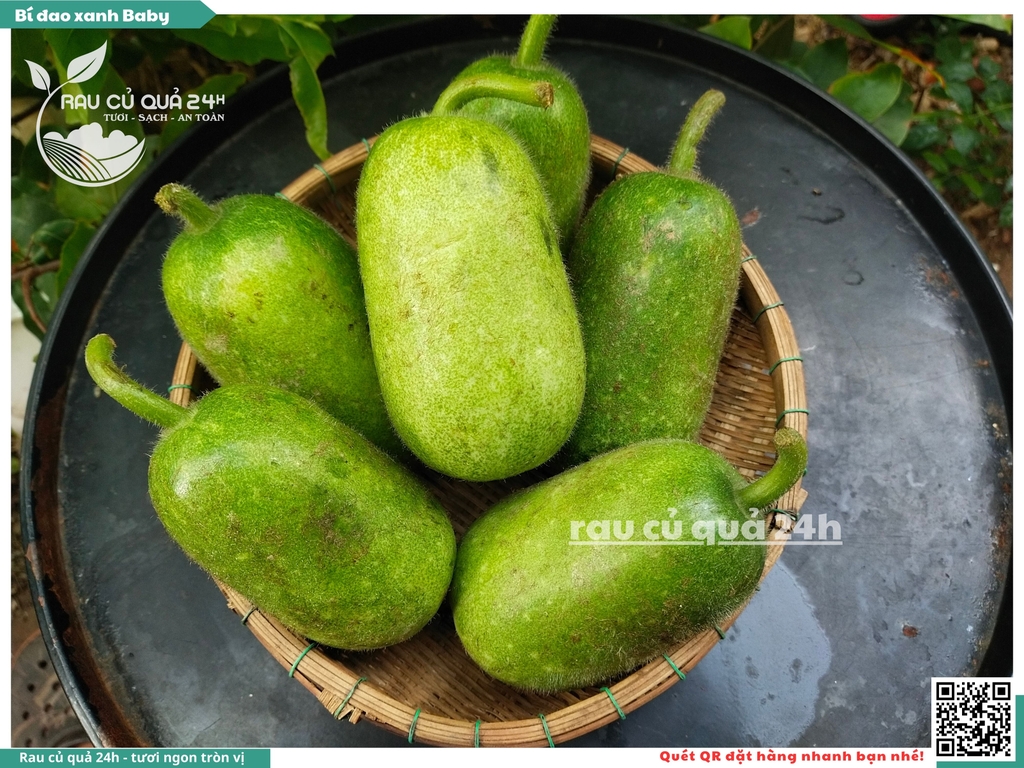 Quả Bí đao xanh baby - 2 trái