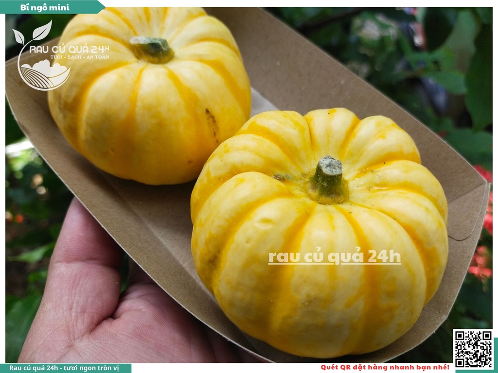 Bí ngô mini vàng 1 quả khoảng 200g
