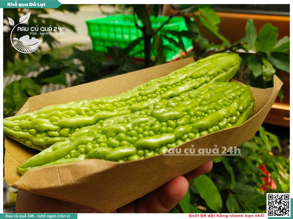 Quả Khổ qua Đà Lạt - 3 quả