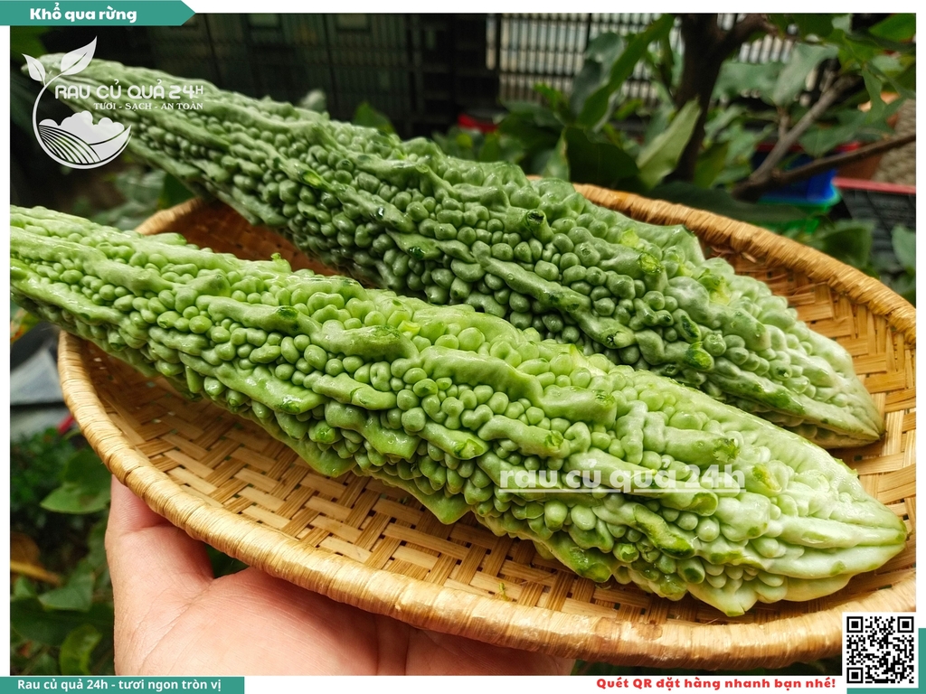 Quả Khổ qua rừng - 2 quả